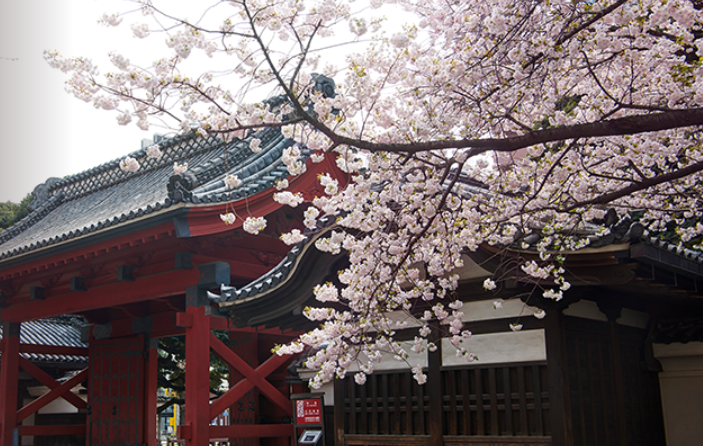 慧诚酱带你看日本大学院SGU项目之MBA(上)-慧诚教育|慧诚教育学院|日本慧诚教育|慧诚塾官网