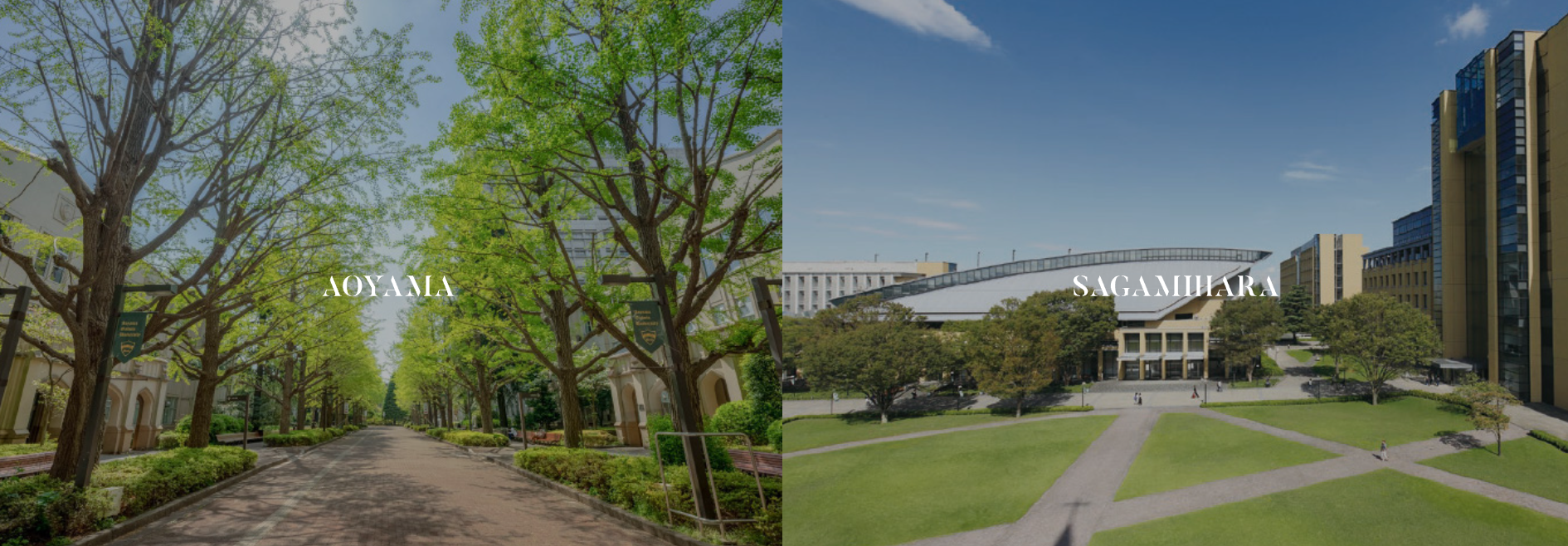 日本留学:2023年青山学院大学出愿指南-慧诚教育|慧诚教育学院|日本慧诚教育|慧诚塾官网