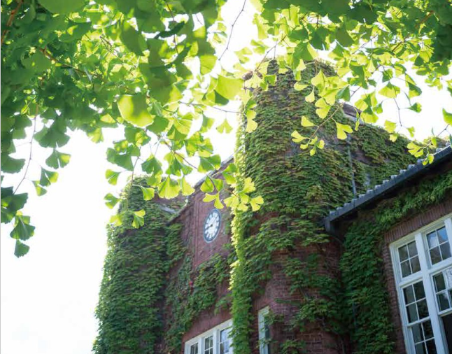 日本留学:2023年立教大学出愿指南-慧诚教育|慧诚教育学院|日本慧诚教育|慧诚塾官网
